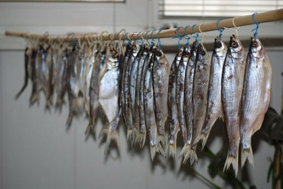 Условия хранения вяленой рыбы