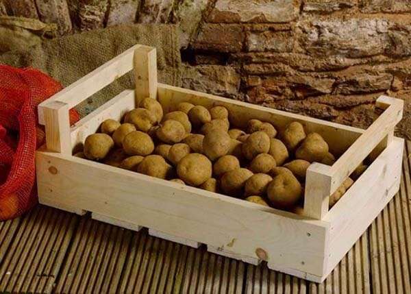 Урожай картофеля: как сохранить его до весны