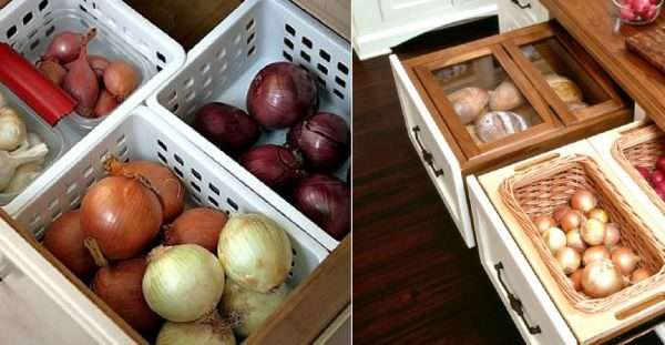 Хранение урожая овощей и фруктов до весны, фото